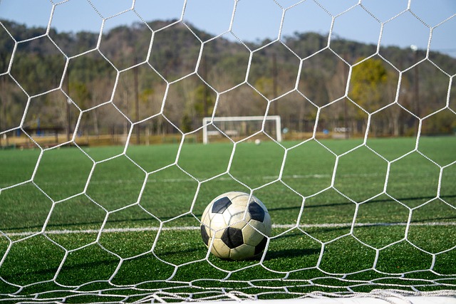 仅让粉丝们 仅让粉丝们