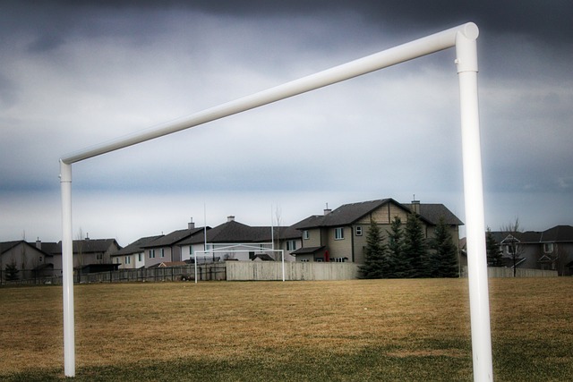 注入了一剂 注入了一剂