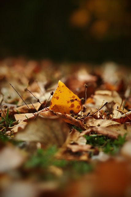 完美的平衡 完美的平衡