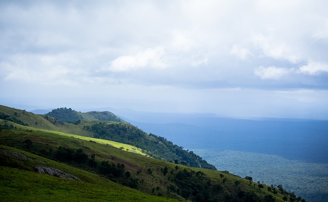 赔本赚吆喝 赔本赚吆喝