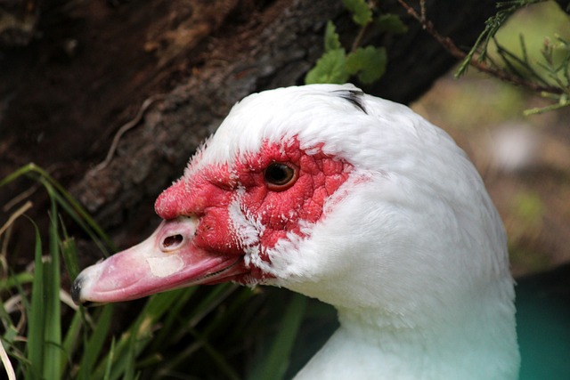 全球局势变 全球局势变