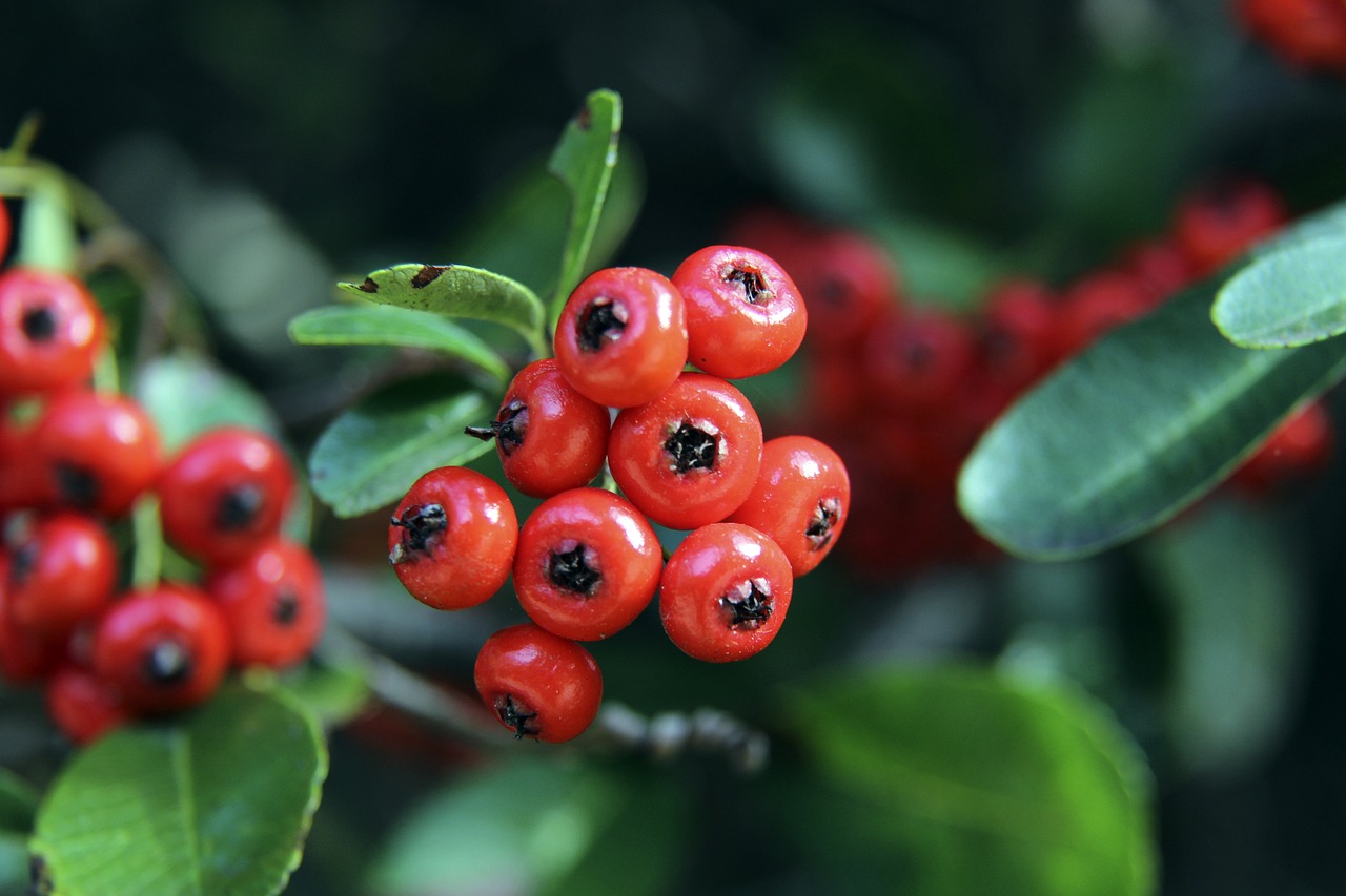 力和坚定的 力和坚定的