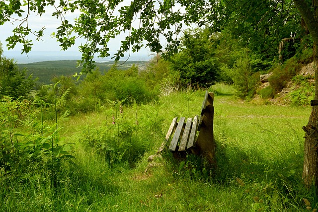 直接导致球 直接导致球