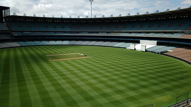 选拔视野 选拔视野