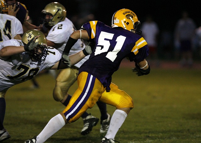 念的反映 念的反映