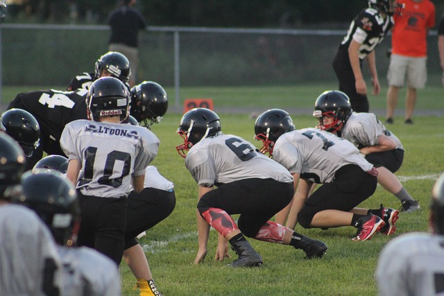 持和超越自 持和超越自