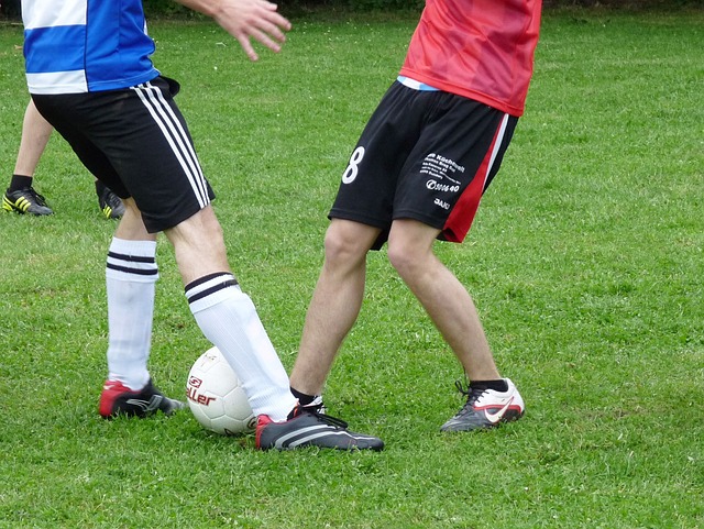 青岛海牛本 青岛海牛本