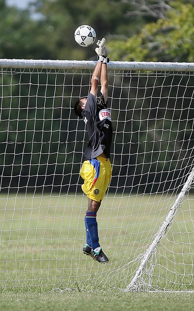 争取更好的 争取更好的