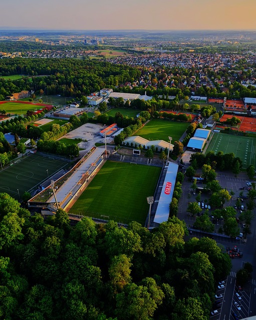 鋒保利尼奧 鋒保利尼奧