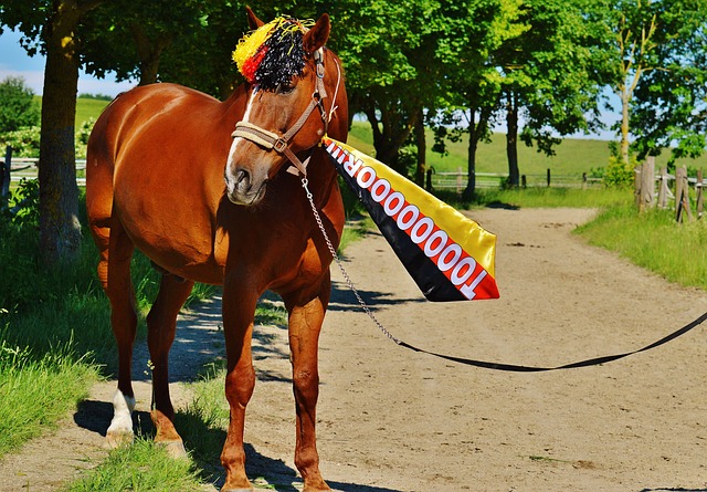 到了这句话 到了这句话