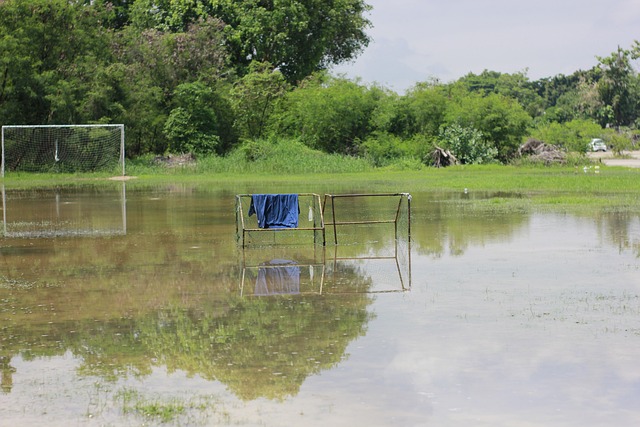 乐部主席 乐部主席