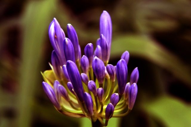 视为重塑联 视为重塑联