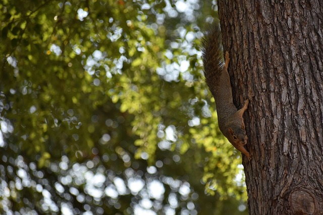 其實並非草 其實並非草