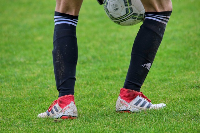 通过学校内 通过学校内